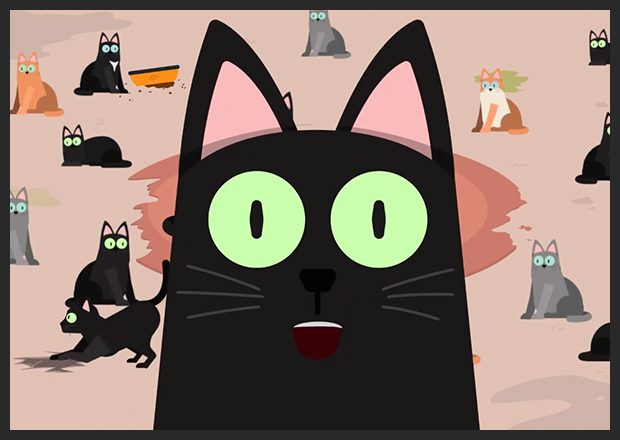 Cats Protection